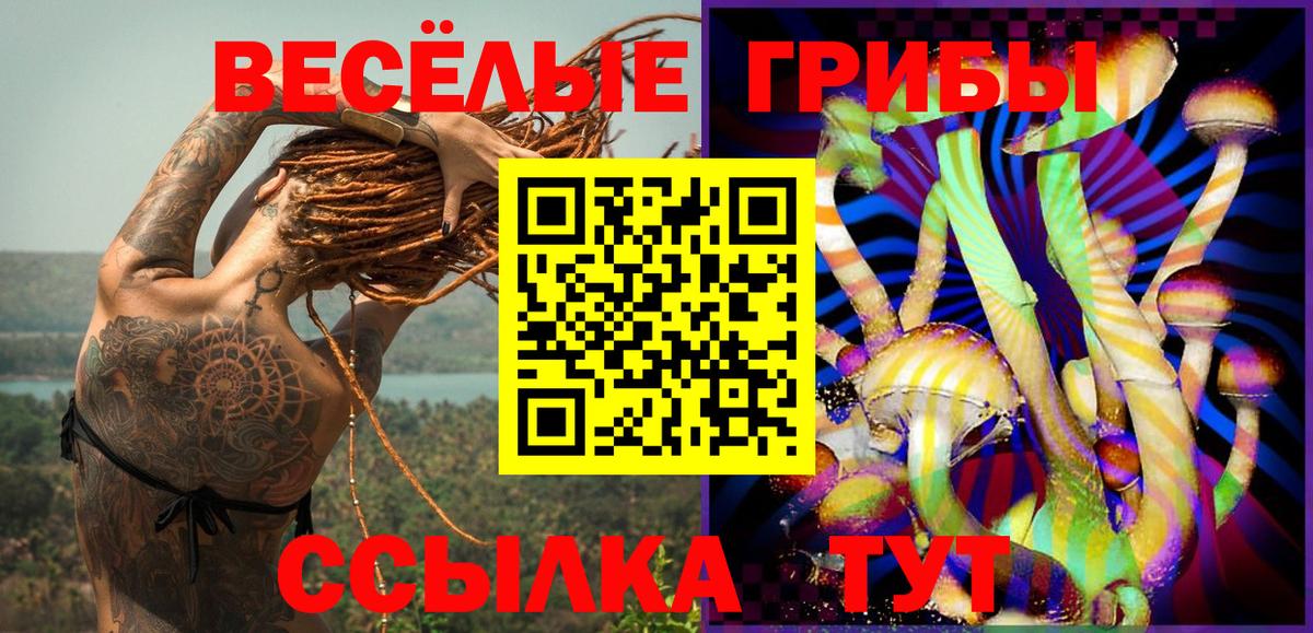 Псилоцибиновые грибы MAGIC MUSHROOMS Назарово